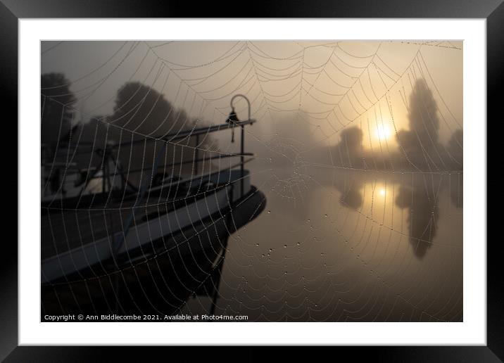 A spiders view of the misty sunrise Framed Mounted Print by Ann Biddlecombe