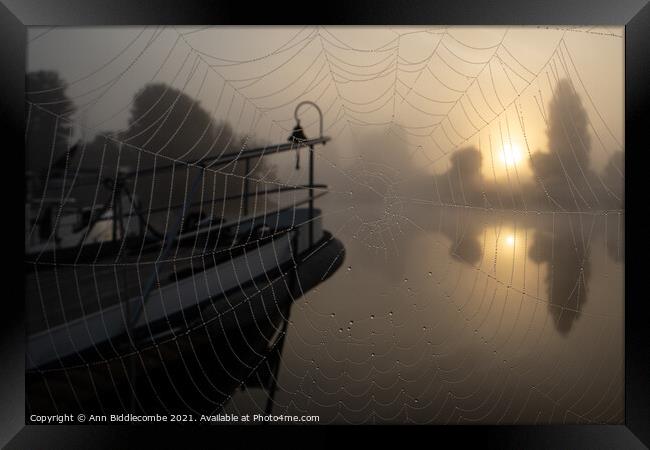 A spiders view of the misty sunrise Framed Print by Ann Biddlecombe