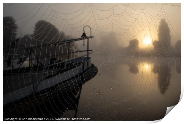 A spiders view of the misty sunrise Print by Ann Biddlecombe