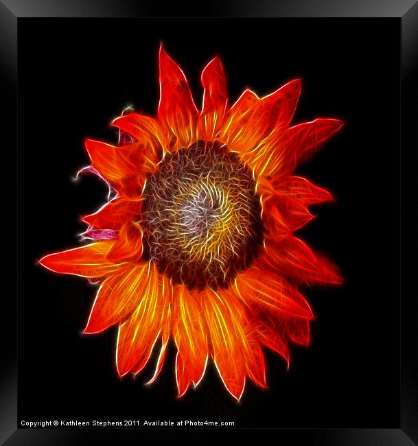 Sunflower Fractal Framed Print by Kathleen Stephens