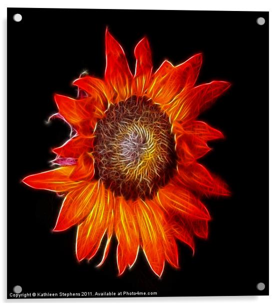 Sunflower Fractal Acrylic by Kathleen Stephens