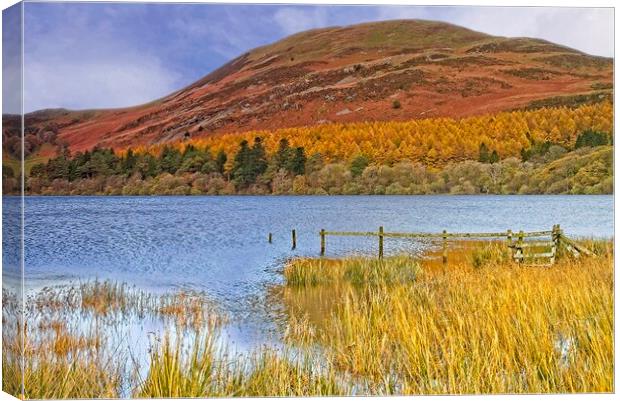 Autumn at Loweswater and Darling Fell, Lake distri Canvas Print by Martyn Arnold