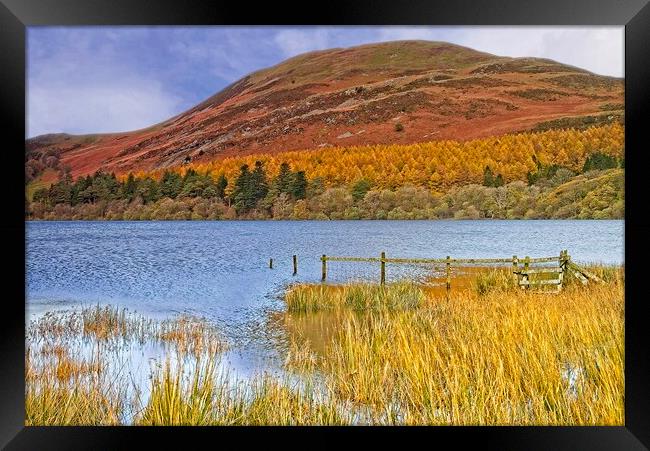 Autumn at Loweswater and Darling Fell, Lake distri Framed Print by Martyn Arnold