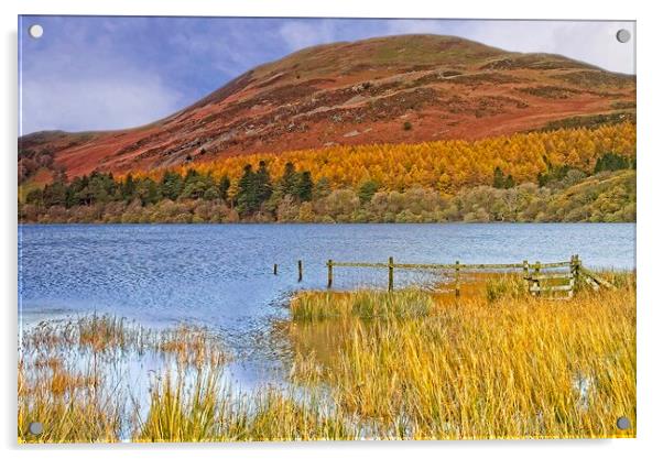 Autumn at Loweswater and Darling Fell, Lake distri Acrylic by Martyn Arnold