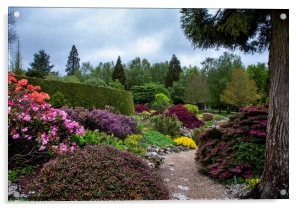 Emmett's Garden floral landscape Acrylic by Fiona Etkin