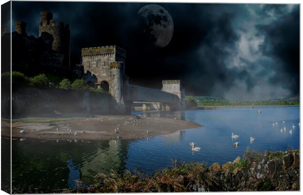 Conwy Castle nightscape Canvas Print by Fiona Etkin