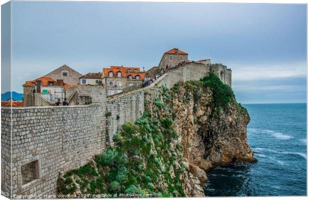 Wall in Dubrovnik Old Town Canvas Print by Maria Vonotna