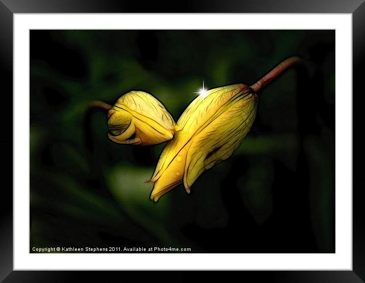 Lilies in Fractal Framed Mounted Print by Kathleen Stephens