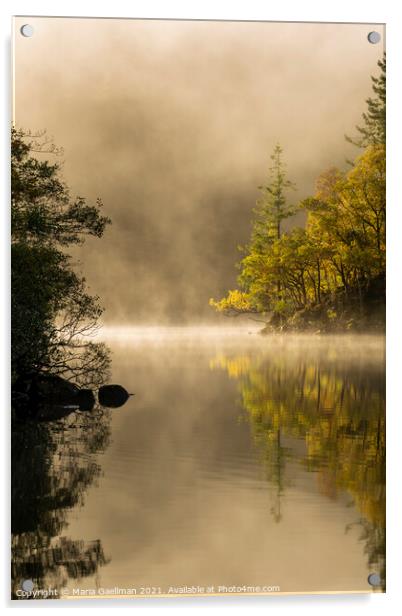 Loch Ard in Autumn Misty Sunrise Acrylic by Maria Gaellman