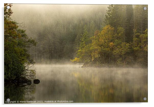 Loch Ard Misty Morning Acrylic by Maria Gaellman