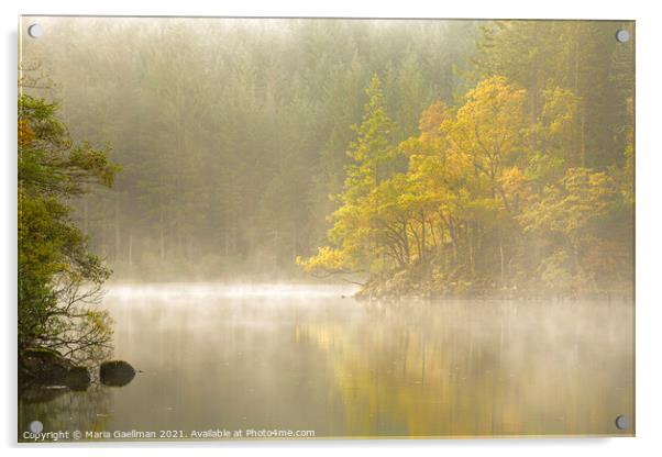 Loch Ard Golden Misty Sunrise Acrylic by Maria Gaellman