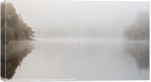 Loch Ard Cross on a Misty Morning Canvas Print by Maria Gaellman