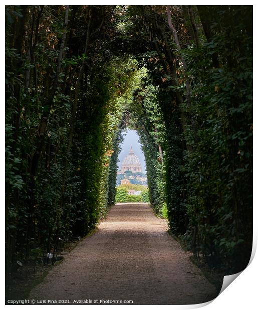View of the Vatican Basilica through a tree path in Rome, Italy Print by Luis Pina