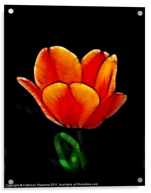 Two-Toned Tulip Acrylic by Kathleen Stephens