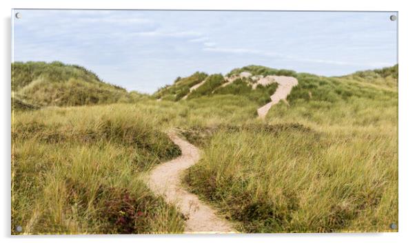 Bending trail through the sand dunes Acrylic by Jason Wells
