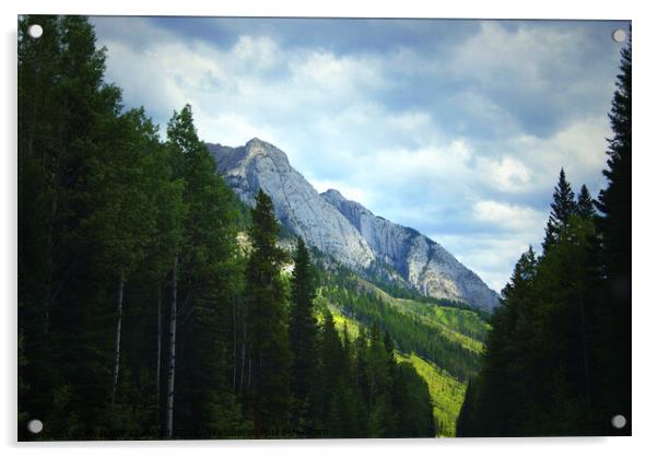 Steep Mountain Top Natural Abstract Formation Canada Acrylic by PAULINE Crawford