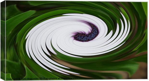 Floral Swirl Canvas Print by John Biggadike