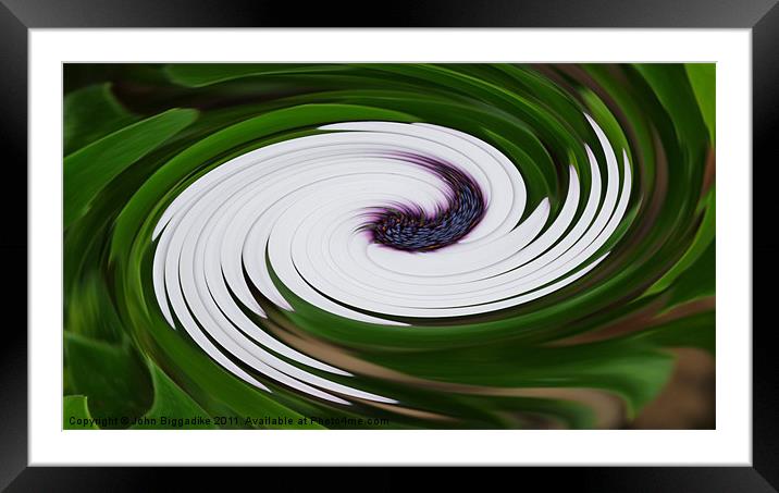 Floral Swirl Framed Mounted Print by John Biggadike