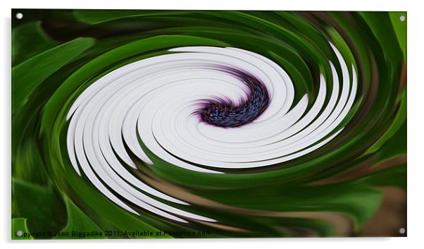 Floral Swirl Acrylic by John Biggadike