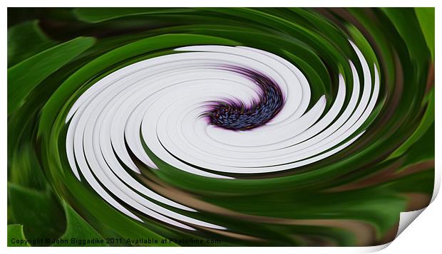Floral Swirl Print by John Biggadike