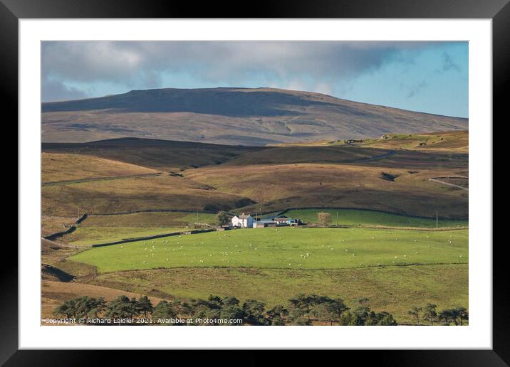 Peghorn Lodge and Meldon Hill, Teesdale Framed Mounted Print by Richard Laidler