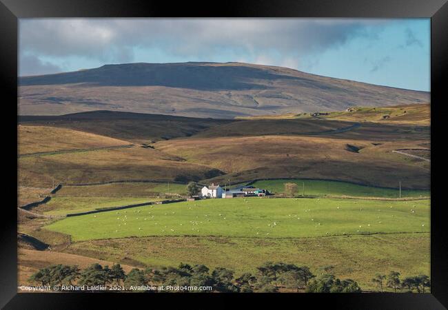 Peghorn Lodge and Meldon Hill, Teesdale Framed Print by Richard Laidler