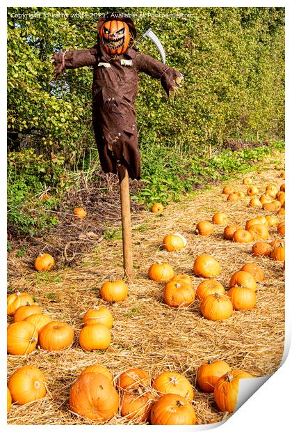 Pumpkin field, scarecrow  Print by kathy white
