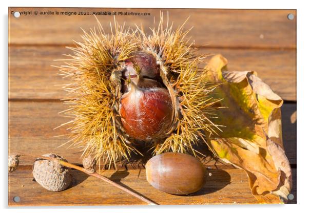 Chestnuts, husks, acorn and oak leaves on a wooden table Acrylic by aurélie le moigne