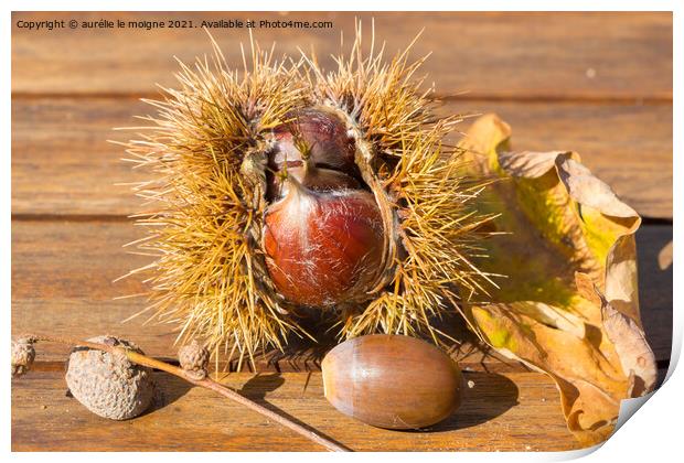 Chestnuts, husks, acorn and oak leaves on a wooden table Print by aurélie le moigne