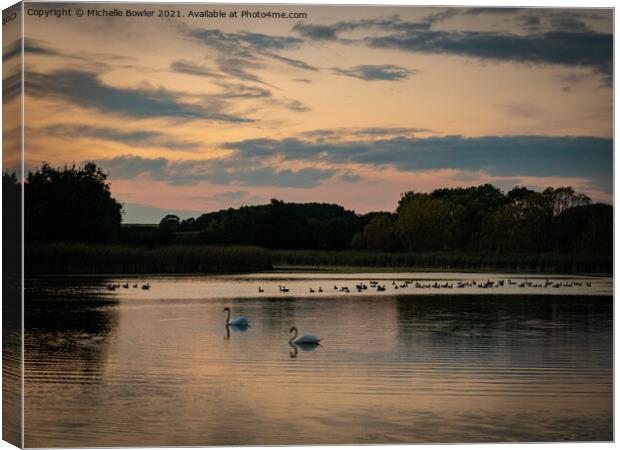 Sunset swans Canvas Print by Michelle Bowler