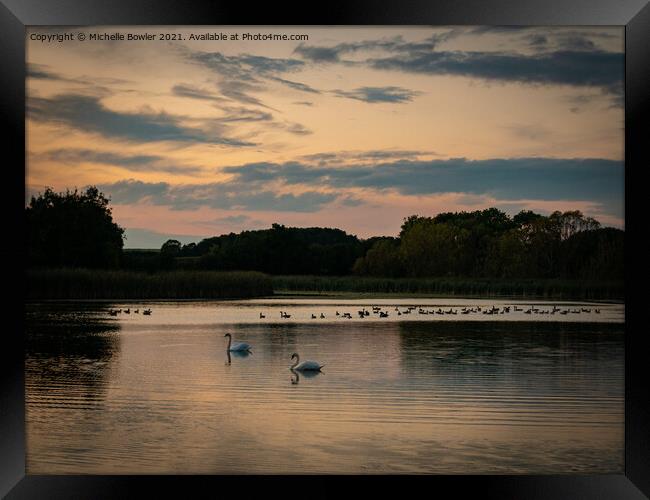 Sunset swans Framed Print by Michelle Bowler