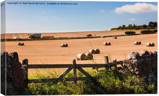 Harvest Country Scene in the Countryside St Abbs Canvas Print by Pearl Bucknall