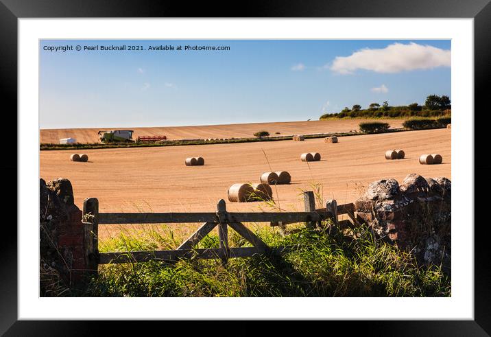 Harvest Country Scene in the Countryside St Abbs Framed Mounted Print by Pearl Bucknall