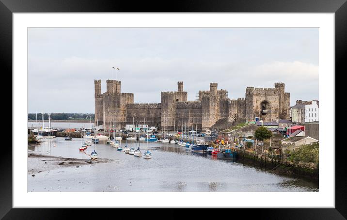 Caernarfon waterfront and castle Framed Mounted Print by Jason Wells