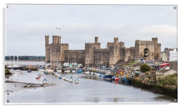 Caernarfon waterfront and castle Acrylic by Jason Wells