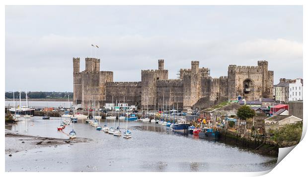 Caernarfon waterfront and castle Print by Jason Wells