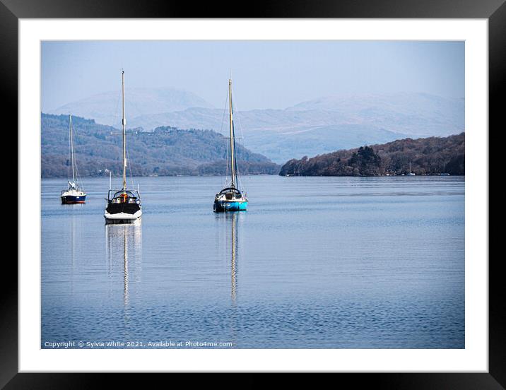 Windermere  Framed Mounted Print by Sylvia White