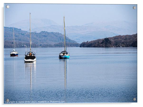Windermere  Acrylic by Sylvia White