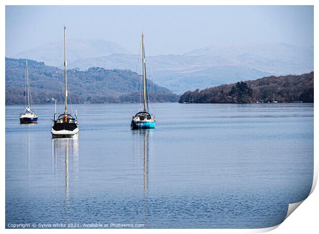 Windermere  Print by Sylvia White
