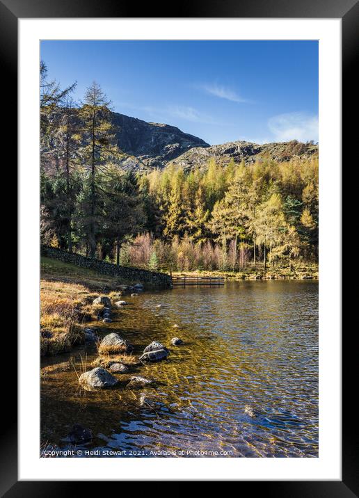 Blea Tarn Lake District Framed Mounted Print by Heidi Stewart