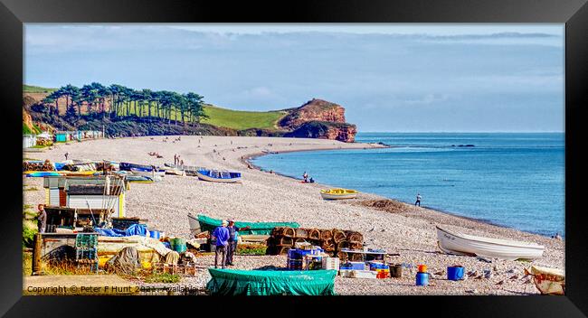 Fishing Boats And Beach Budleigh Salterton   Framed Print by Peter F Hunt