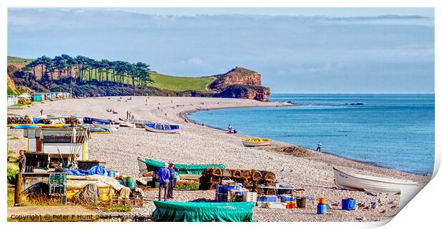 Fishing Boats And Beach Budleigh Salterton   Print by Peter F Hunt