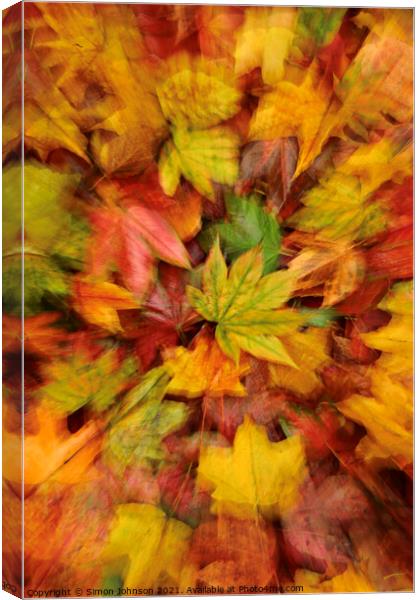 autumn leaf collage Canvas Print by Simon Johnson