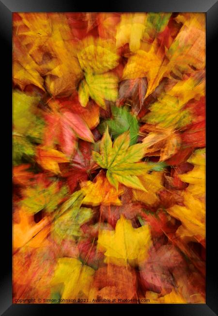 autumn leaf collage Framed Print by Simon Johnson
