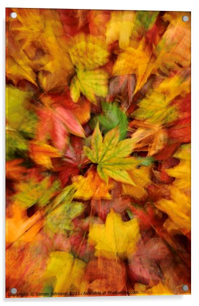 autumn leaf collage Acrylic by Simon Johnson
