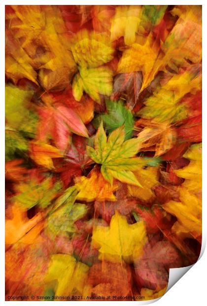 autumn leaf collage Print by Simon Johnson