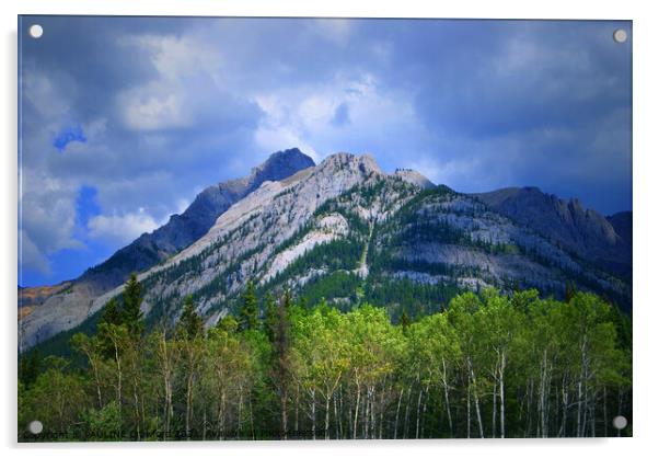Outdoor mountain landscape Banff Alberta Canada Acrylic by PAULINE Crawford