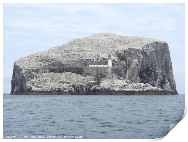 Bass Rock with lighthouse, covered with Northern Gannets Print by Joan Rosie
