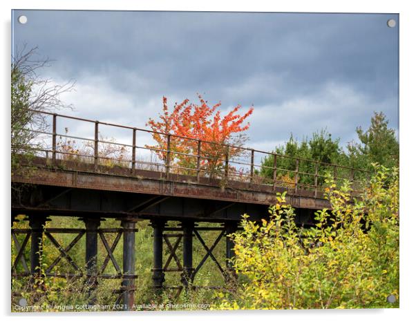 Disused Railway Acrylic by Angela Cottingham