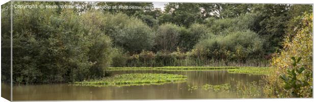 Bookham  Common pond panorama Canvas Print by Kevin White